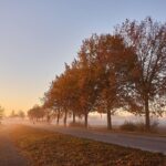 morning affirmations